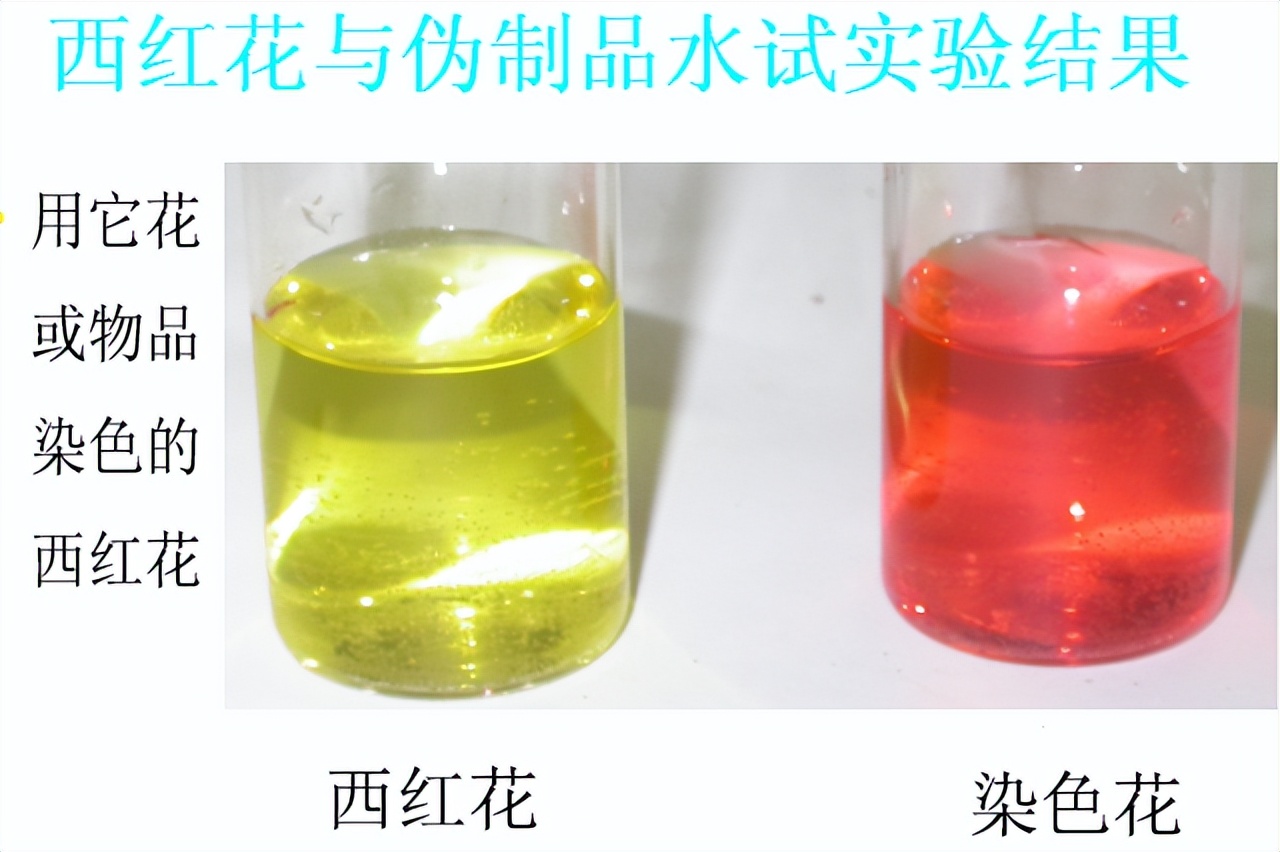 简单教你识别红花,番红花辨认