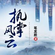 从底层逆袭到高层，超精彩的*场官**小说！官运之道，尔虞我诈！