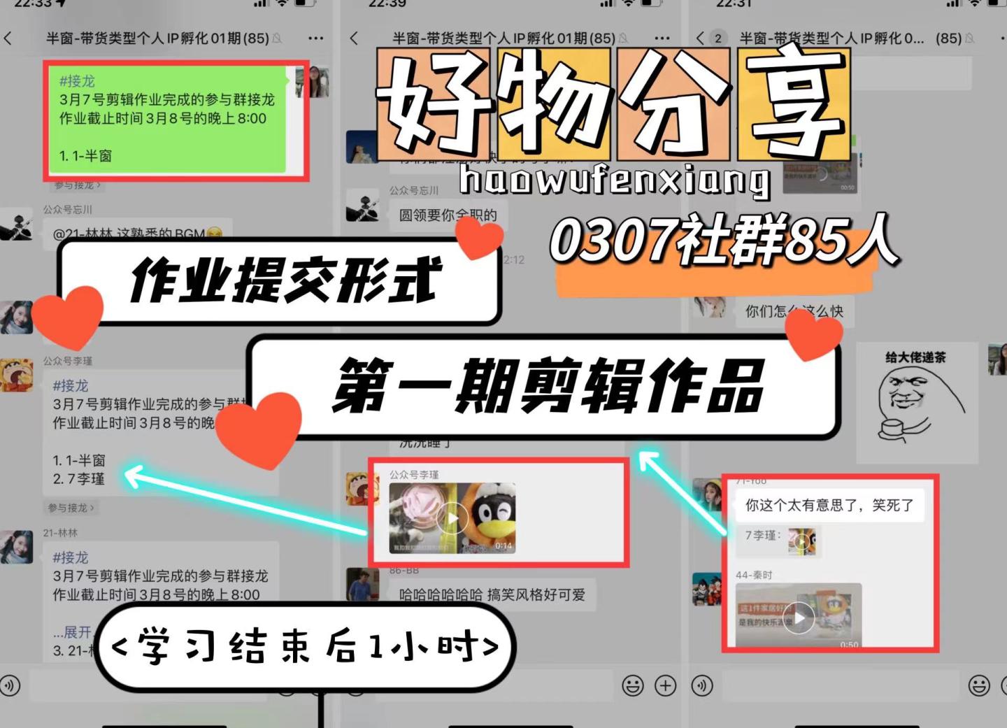 66天从0到1短视频IP孵化项目案例——半窗的一线社群运营笔记03期