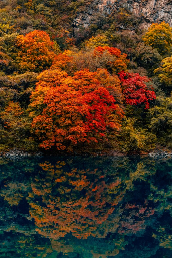 一天来回！别名“小九寨”的油画秋色、高山草甸，一站式游玩到底