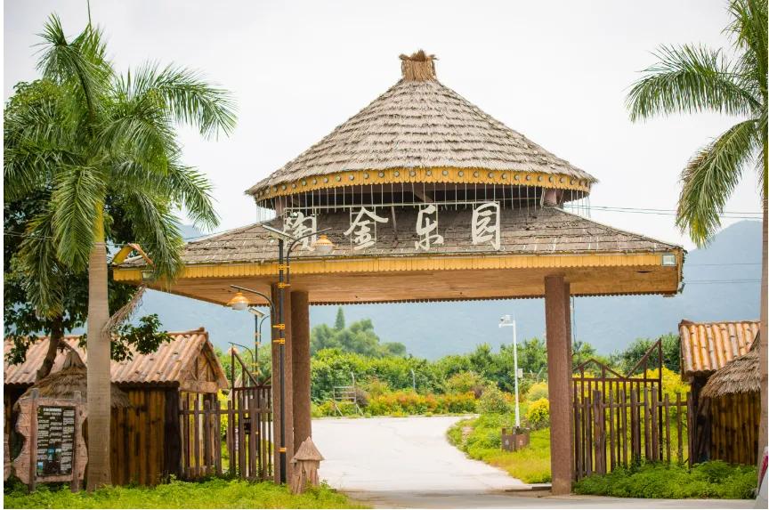 我表哥,去非洲淘金10年赚了1600万,去年在省城买了三套大房子!