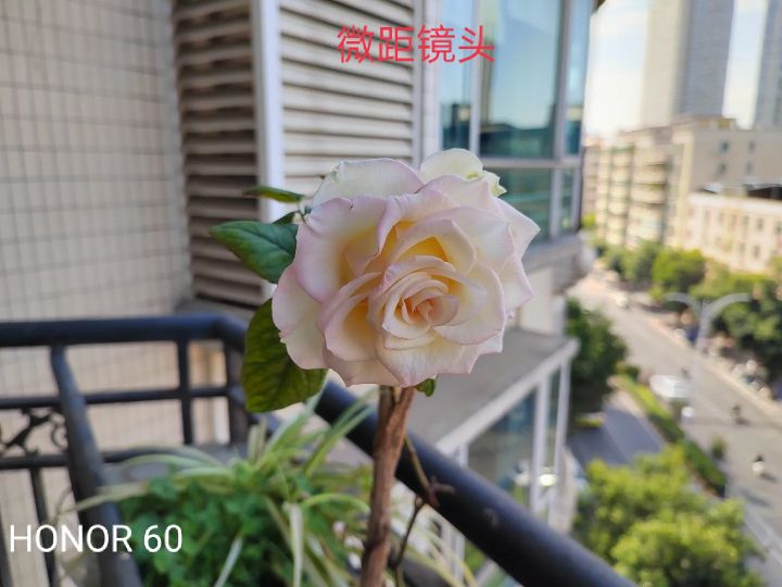 opporeno7与荣耀60se选哪个,opporeno7与荣耀60综合比较