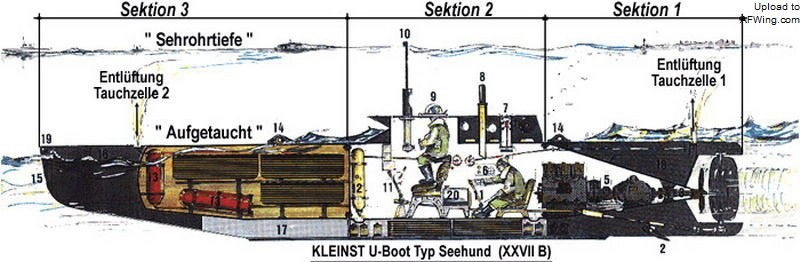 德国海军王牌潜艇,海豹的演化史