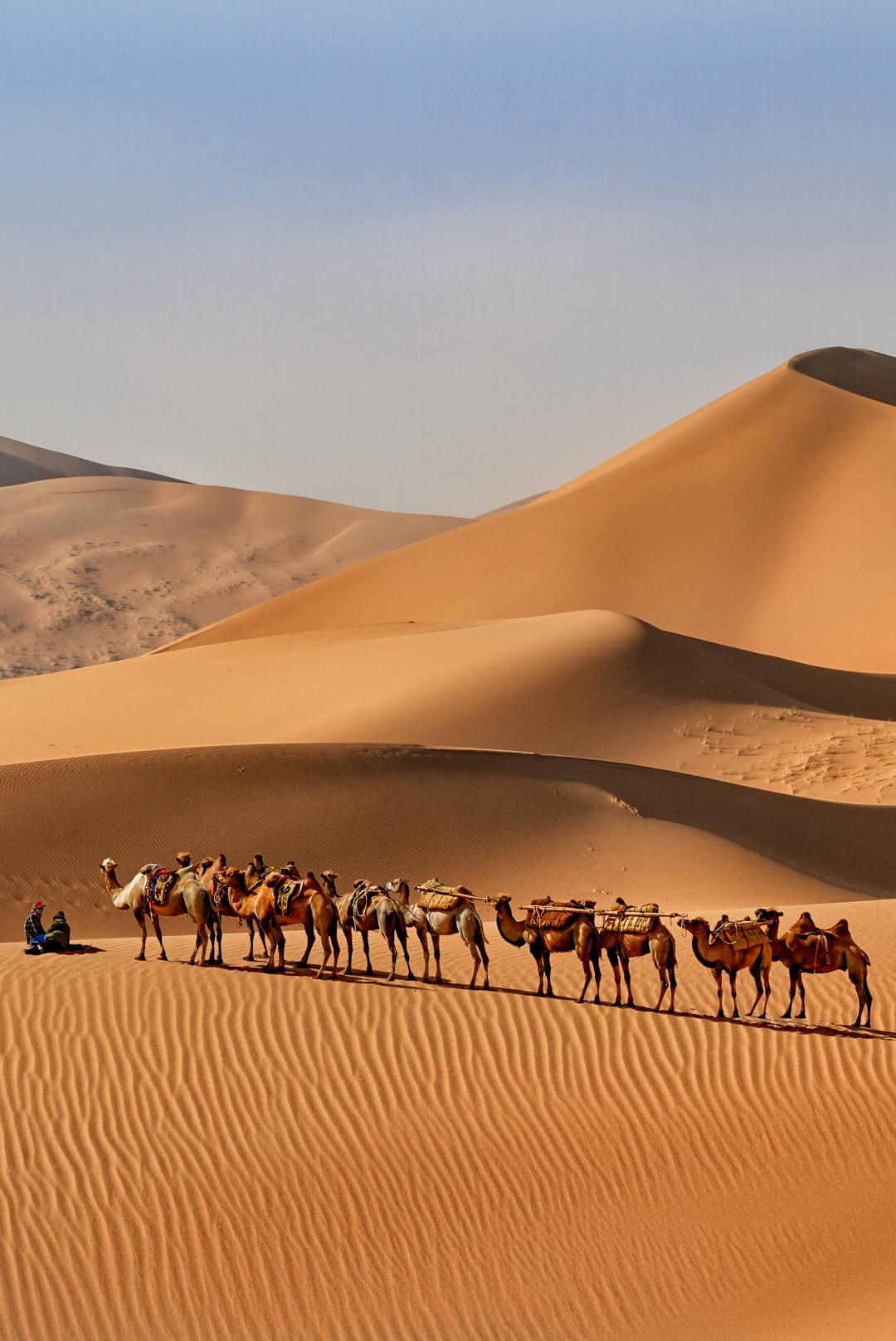 <html>
<head><title>502BadGateway</title></head>
<body>
<center><h1>502BadGateway</h1></center>
<hr><center>nginx</center>
</body>
</html>
<!--apaddingtodisableMSIEandChromefriendlyerrorpage-->
<!--apaddingtodisableMSIEandChromefriendlyerrorpage-->
<!--apaddingtodisableMSIEandChromefriendlyerrorpage-->
<!--apaddingtodisableMSIEandChromefriendlyerrorpage-->
<!--apaddingtodisableMSIEandChromefriendlyerrorpage-->
<!--apaddingtodisableMSIEandChromefriendlyerrorpage-->
