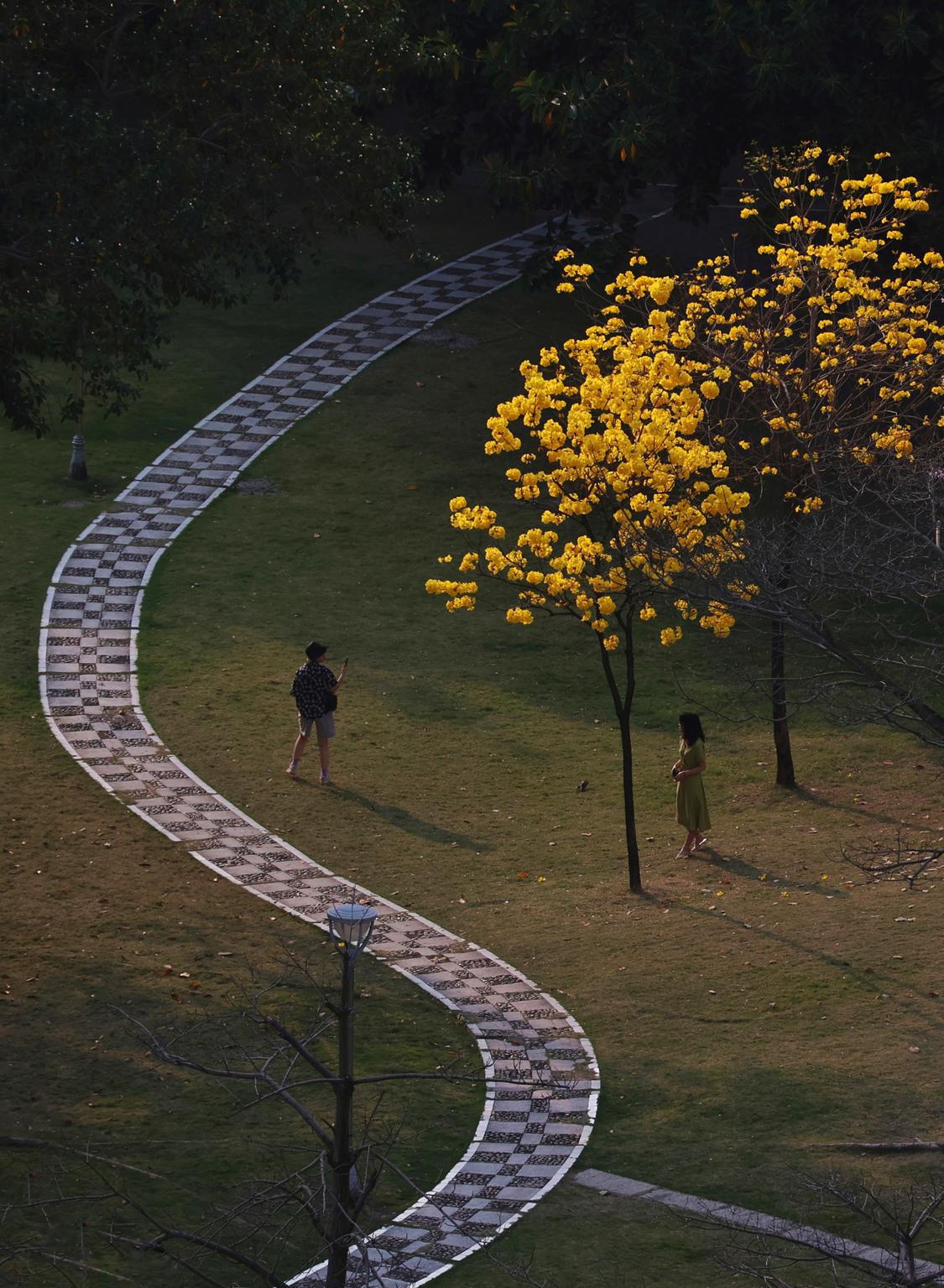 他用镜头记录旅行,他用镜头记录下了一路以来的成长