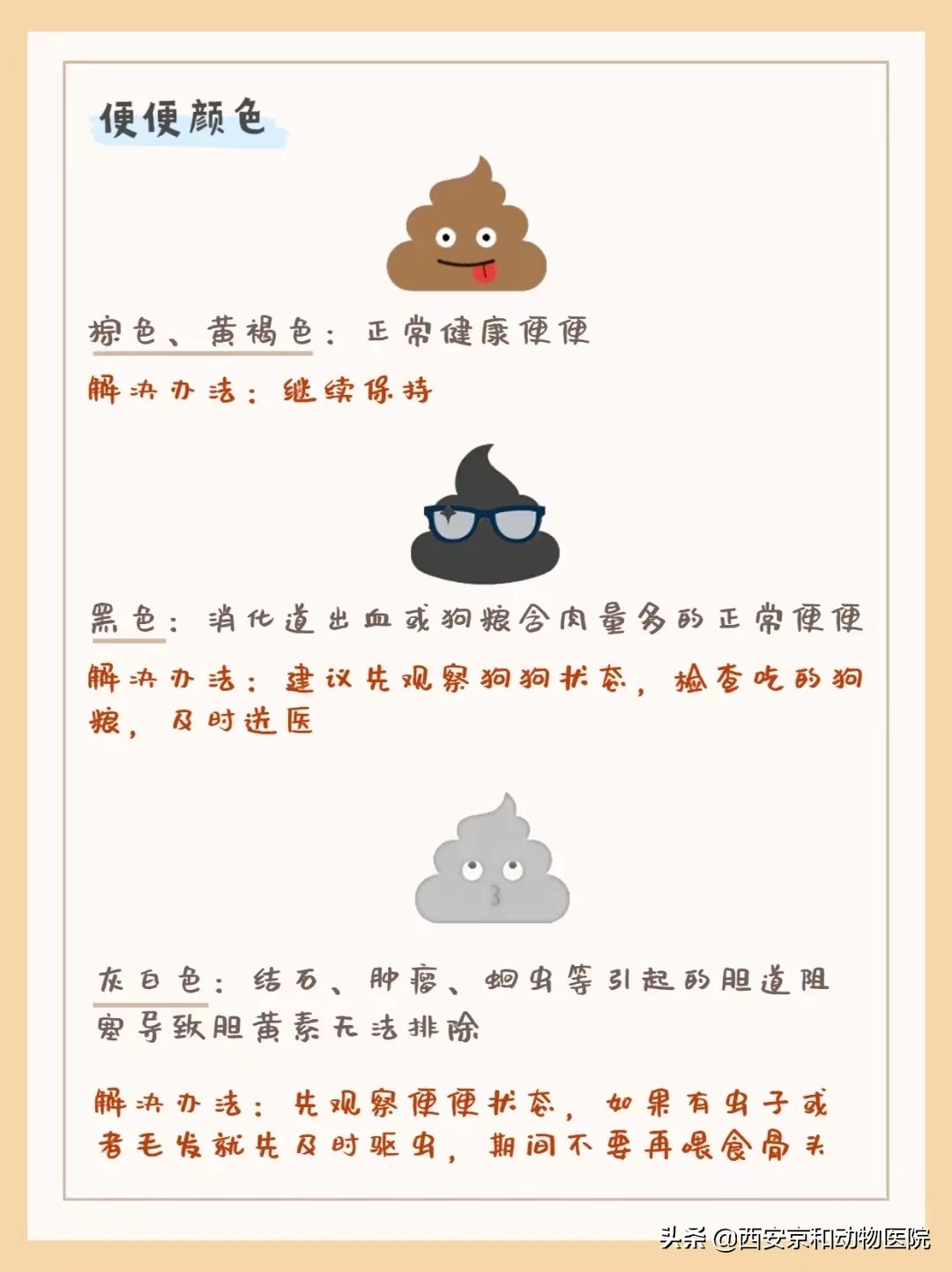 狗狗健康的便便是怎么样的,狗狗健康自测指南