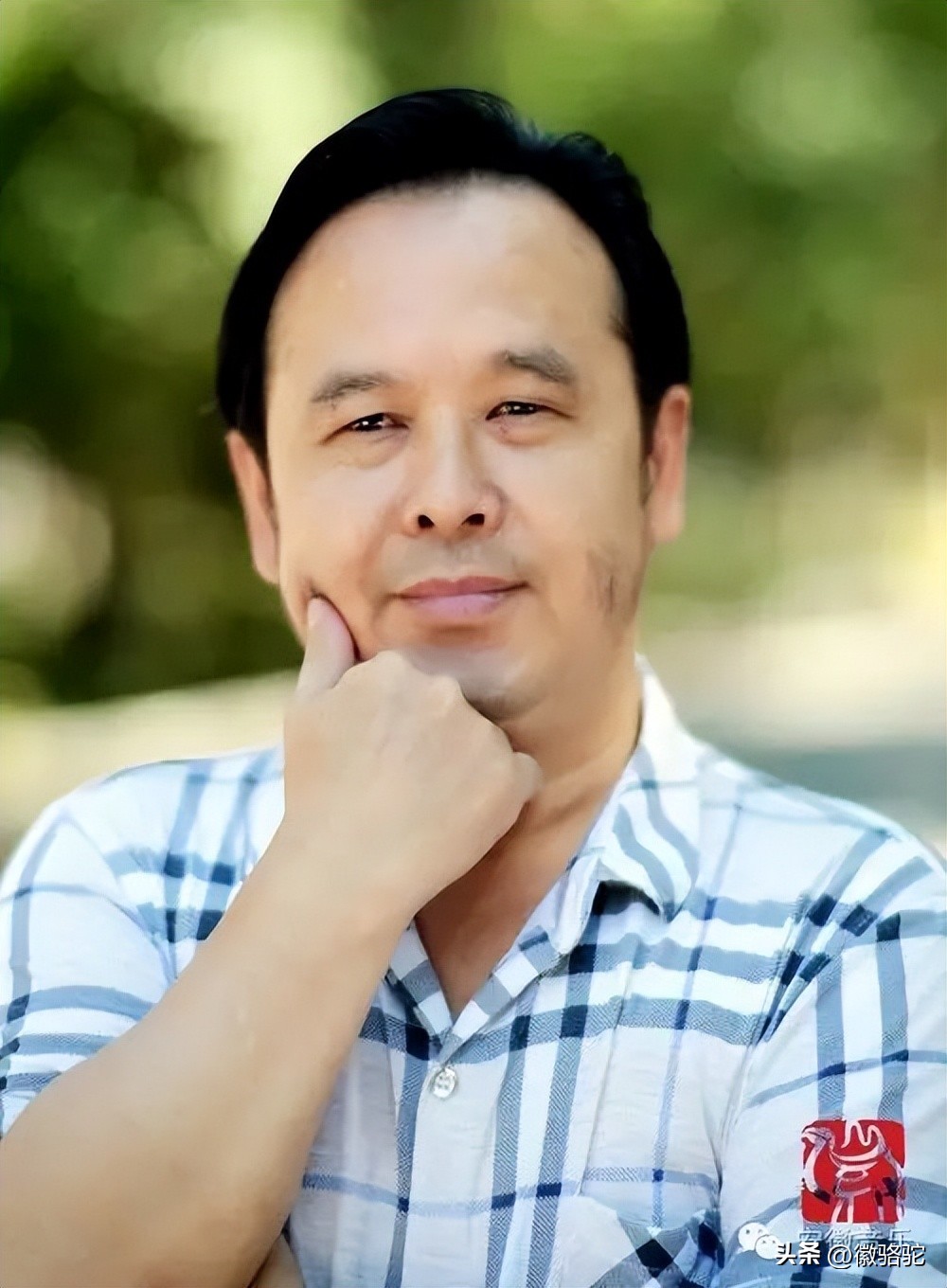 妈妈的槐花,妈妈的槐花歌曲