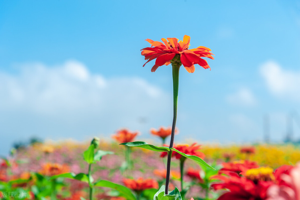 男人爱不爱你看你穿衣就知道,男人爱不爱你看他的态度就知道