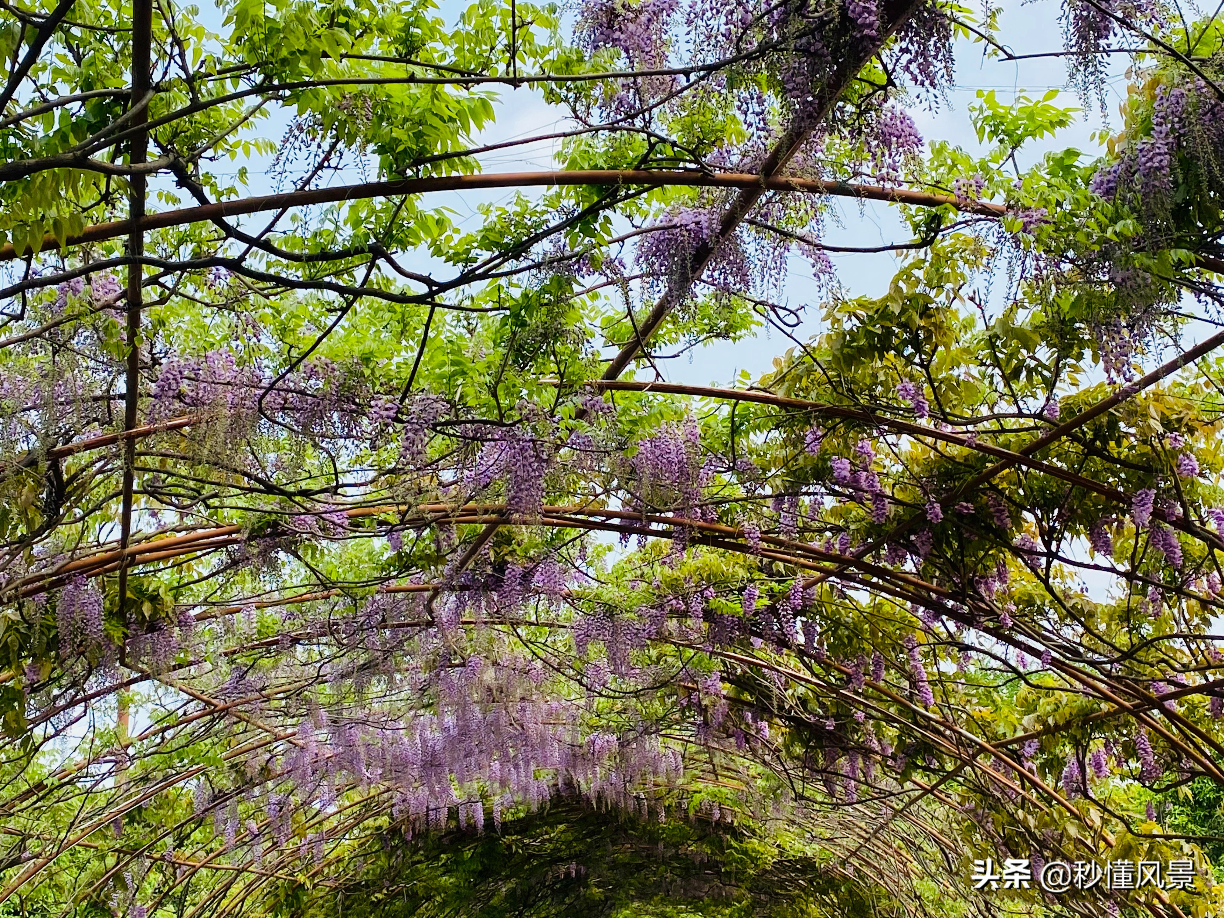 成都又潮又老的打卡胜地,现在成都周边网红景点一日游美景
