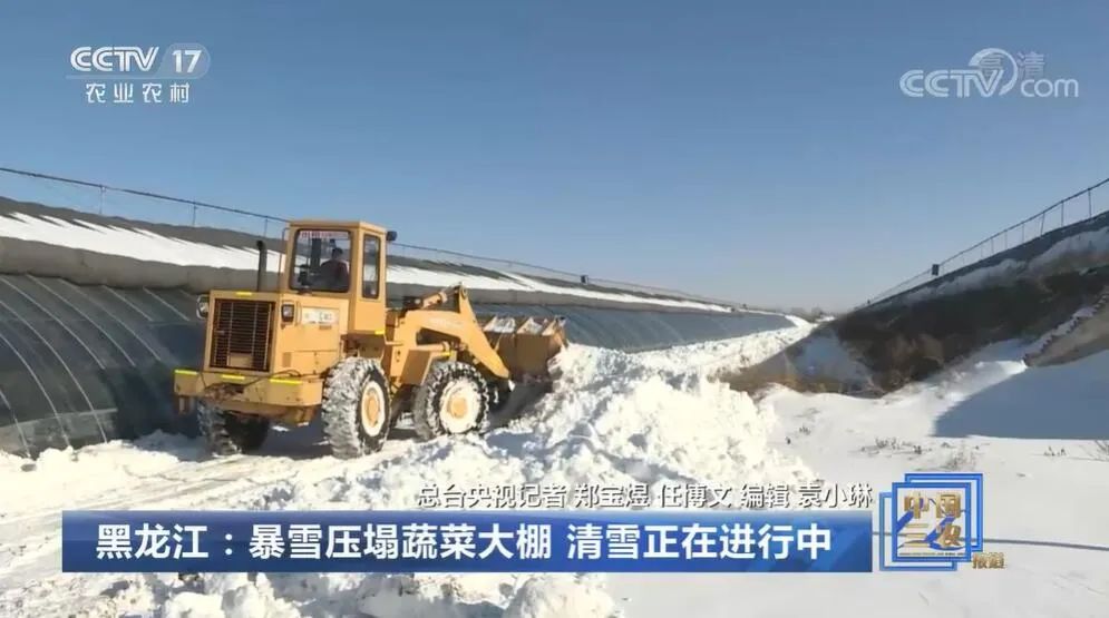 北方冬天，餐桌上的蔬菜水果与这些气象人有关！