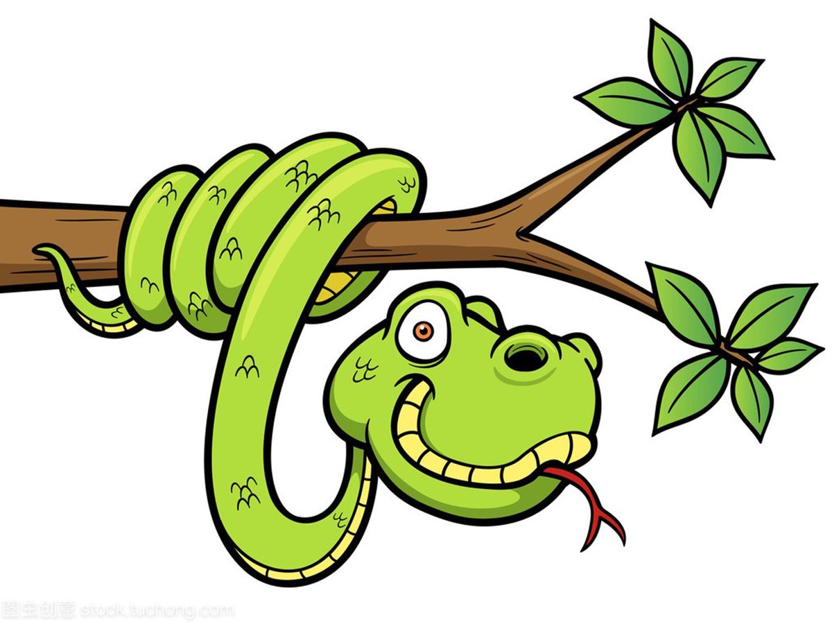 头皮发麻的蛇类,十堰水池惊现一窝蛇