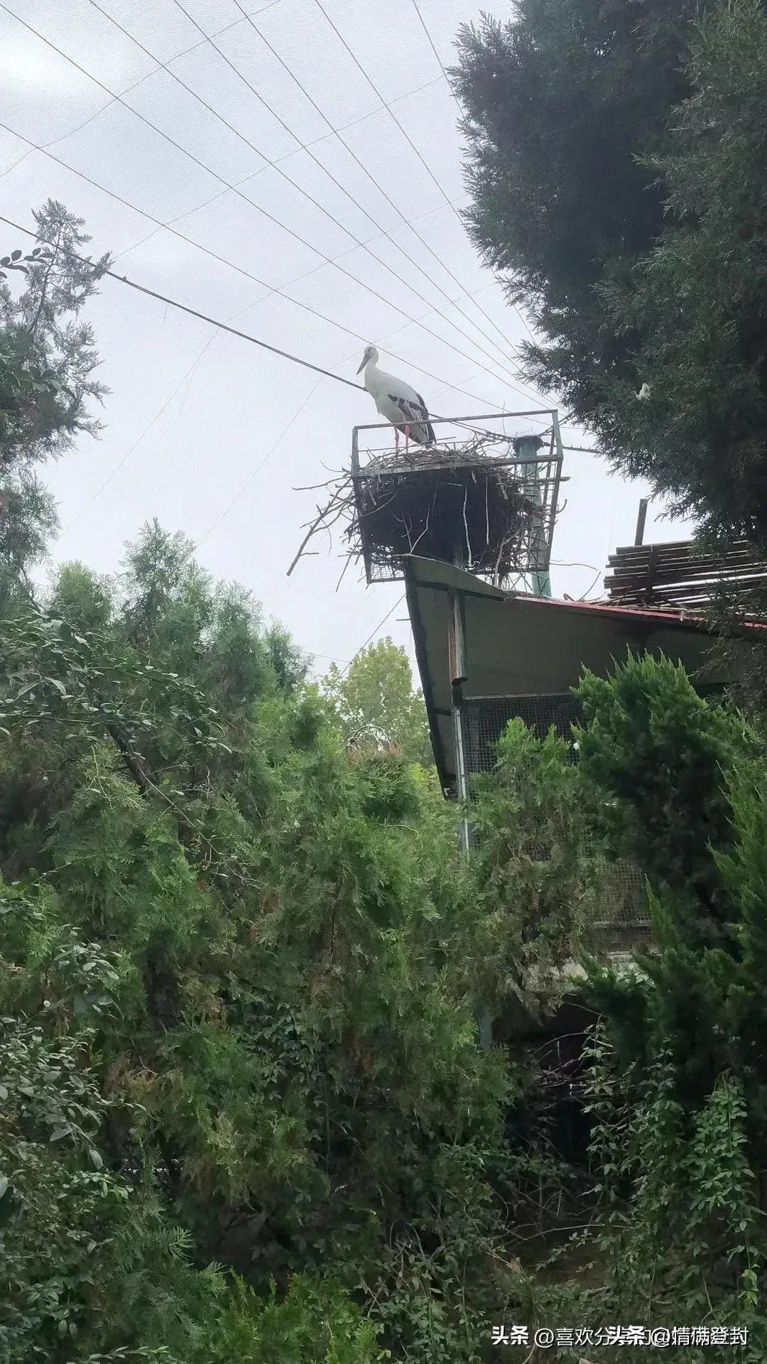 在自己家宅基地建房,在自己宅基地建房