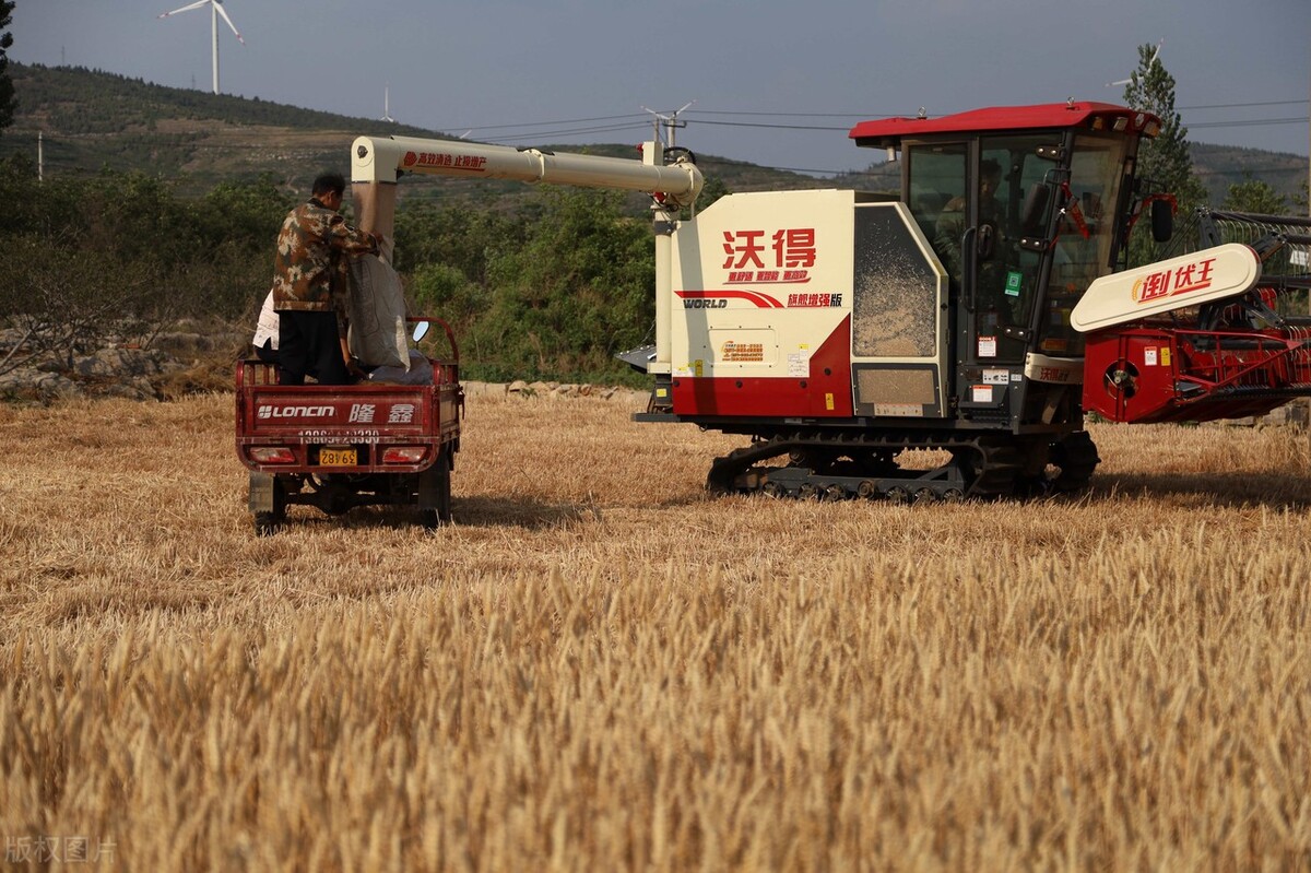沃得锐龙五米收割机2018新款,沃得锐龙收割机pk久保田988收割机