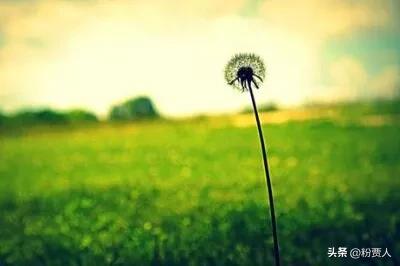 兽药厂行业现状分析,兽药行业发展的现状及优势