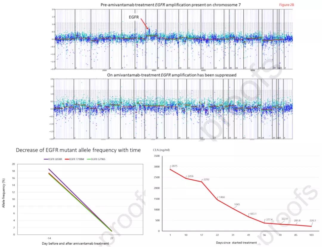 肺癌靶向药egfr,神奇的肺癌靶向药物