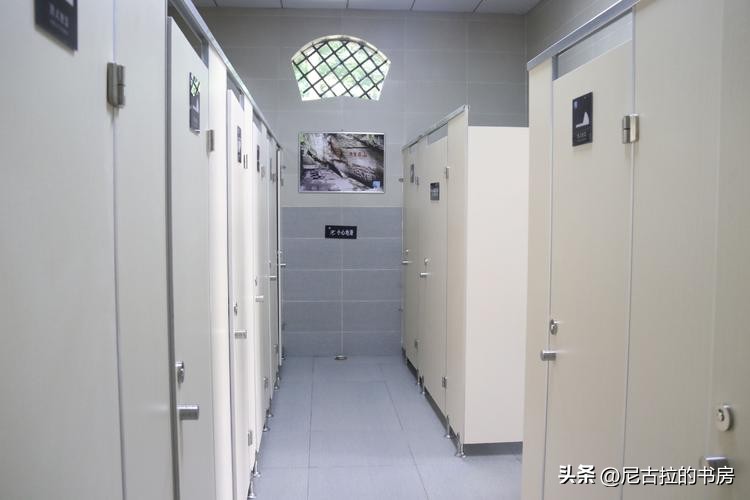 沈阳男子公厕生孩子,沈阳小伙厕所结婚生子后续