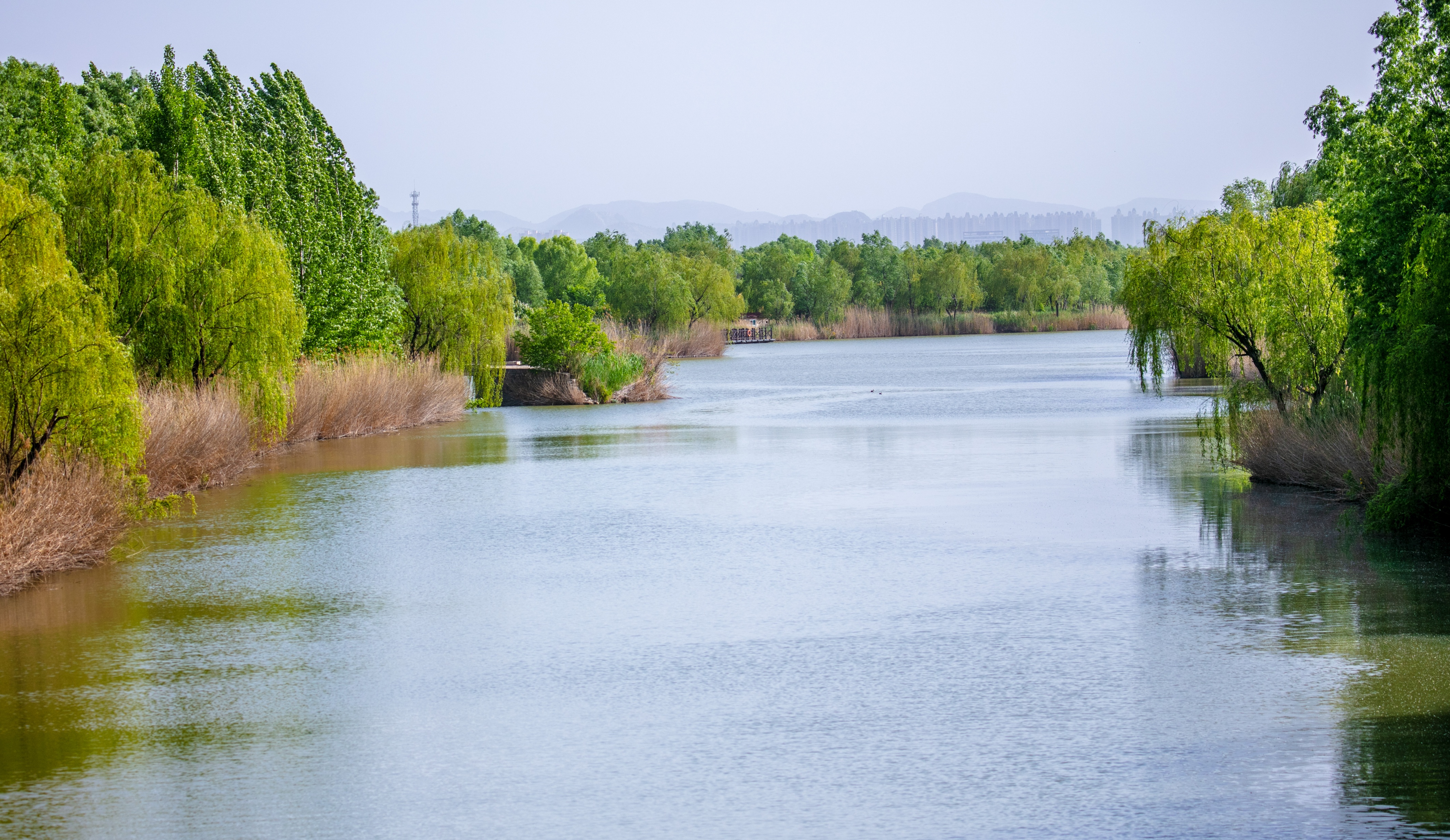 济南西部湿地公园旅游攻略,济南春游的好去处湿地公园