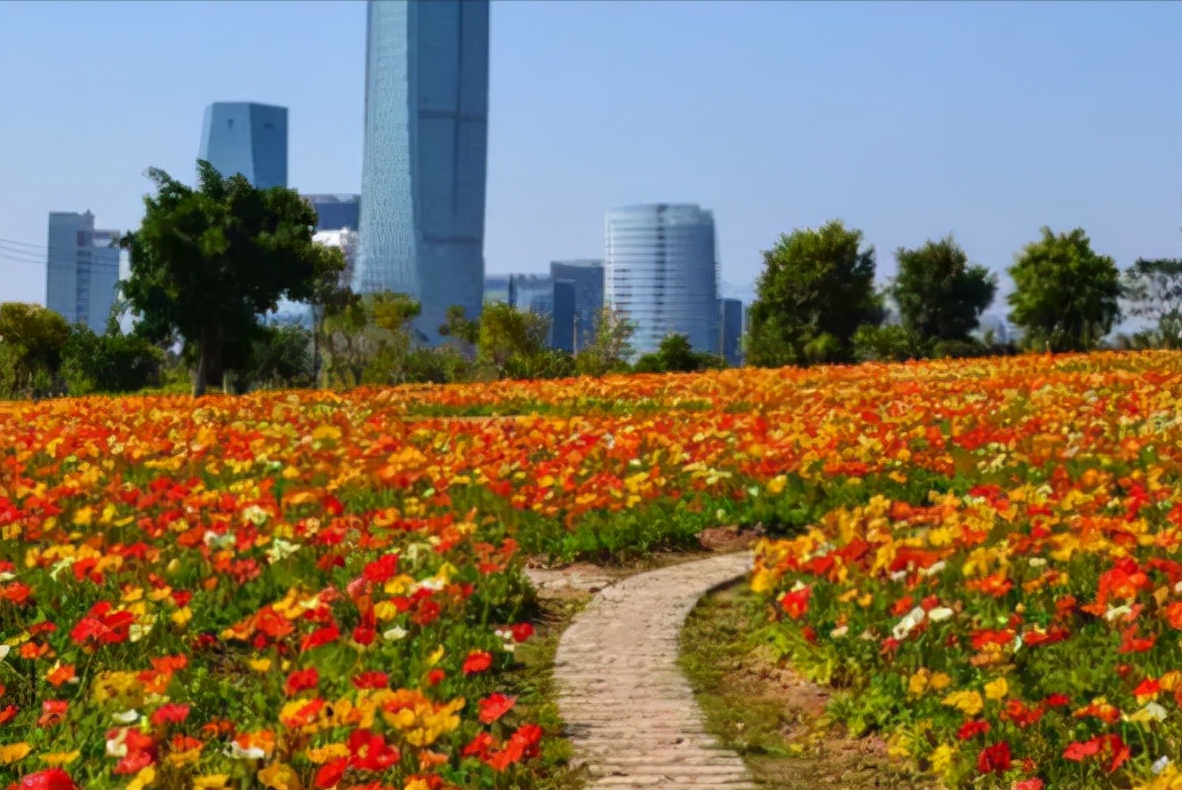 没去过厦门的，看了这一篇叫你了解厦门
