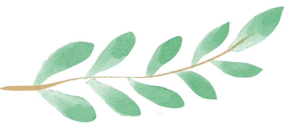 IFA芳疗师这样用精油，每天都有好心情