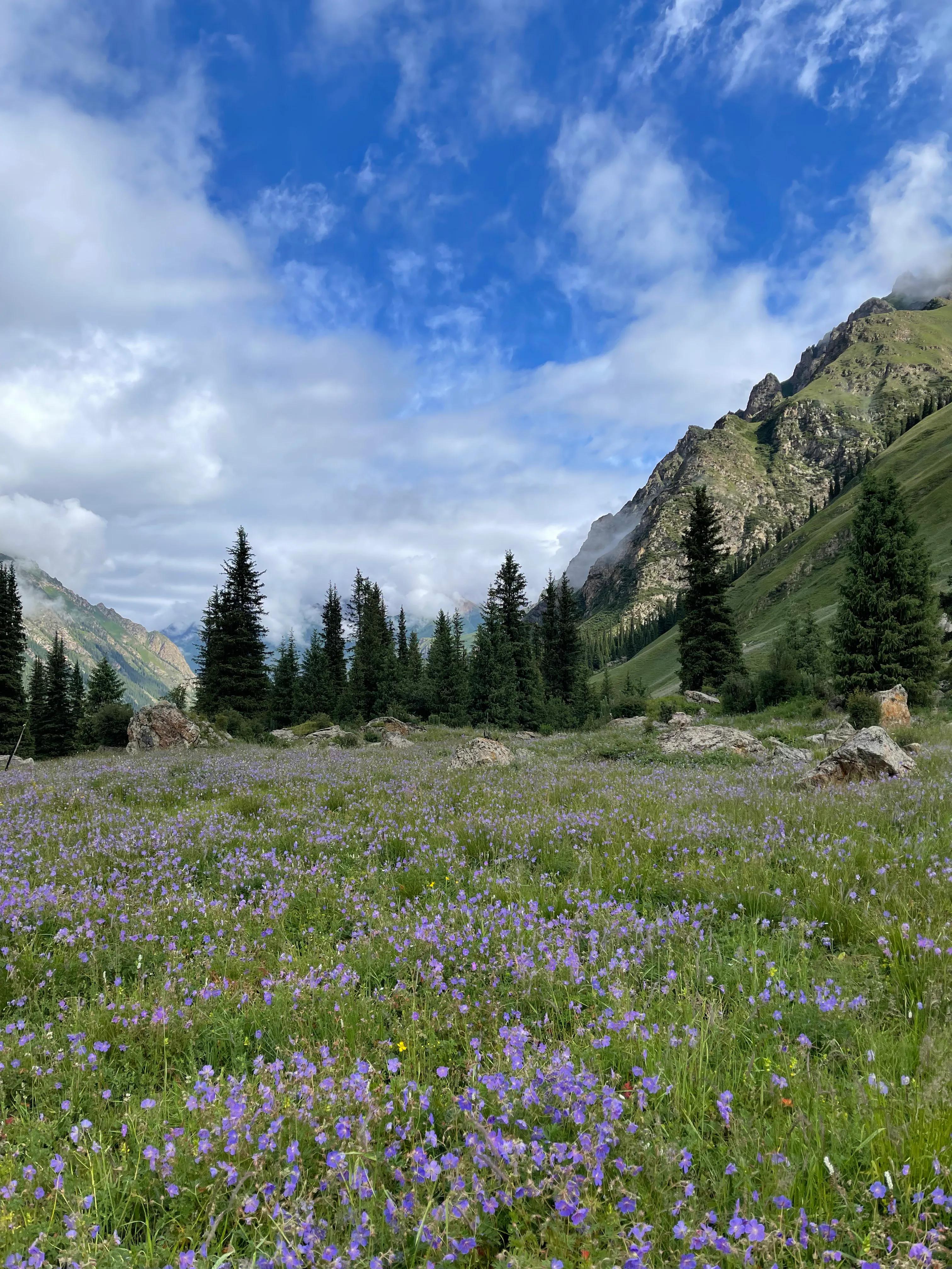 伊犁徒步穿越古道,伊犁昭苏县夏塔古道图片