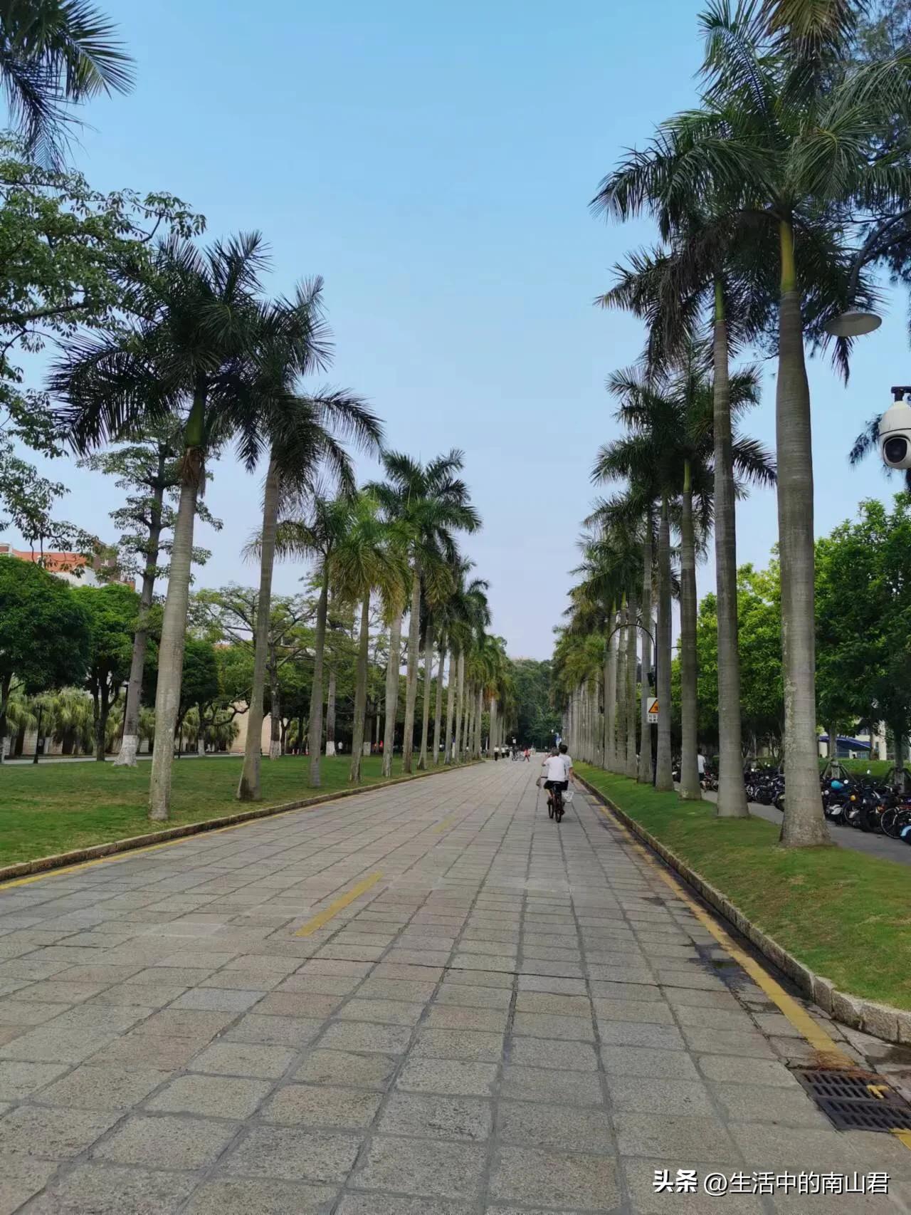 厦门大学经济学科优势还在