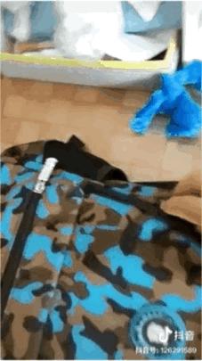 新娘是真的漂亮啊,新娘是真的漂亮谁敢娶回家gif