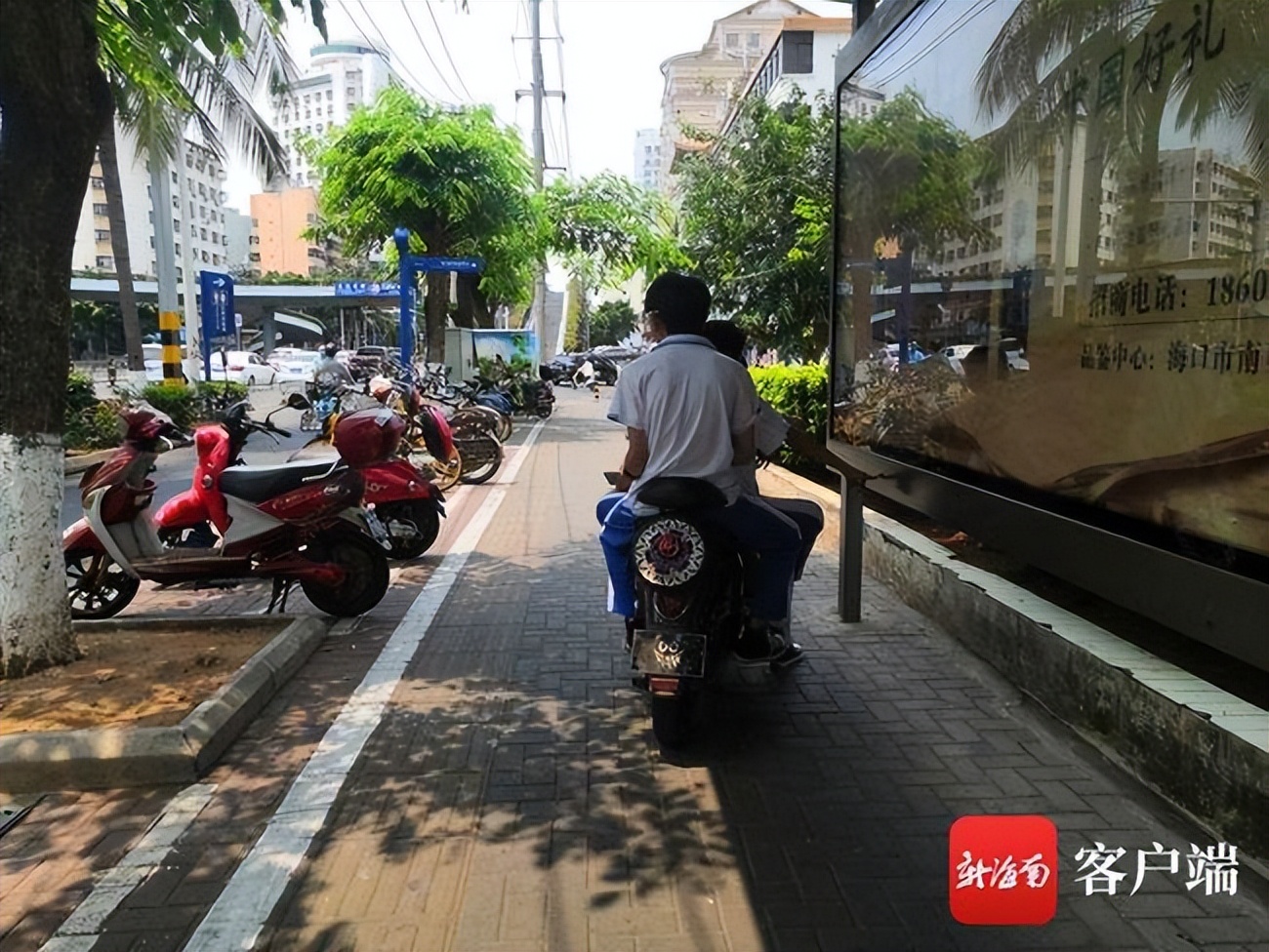 男子在电瓶车上发现一条小青蛇,男子凌晨玩蛇被人咬