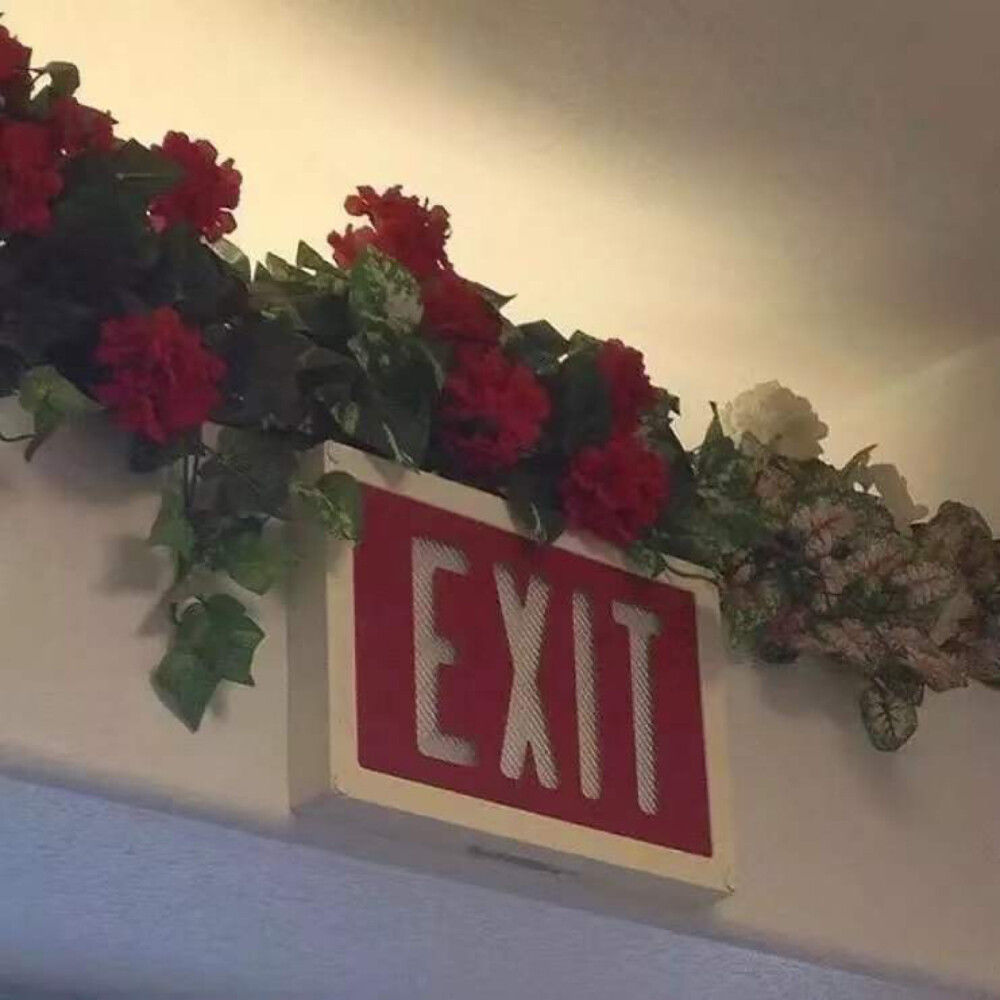 閲嶅悕鐜囧緢灏忕殑缃戝悕,涓嶆槗閲嶅悕闂鸿湝缃戝悕