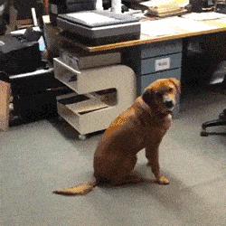 瑜伽裤蜜桃臀，各种搔首弄姿，曾火遍一时的飞盘媛，为何不见了