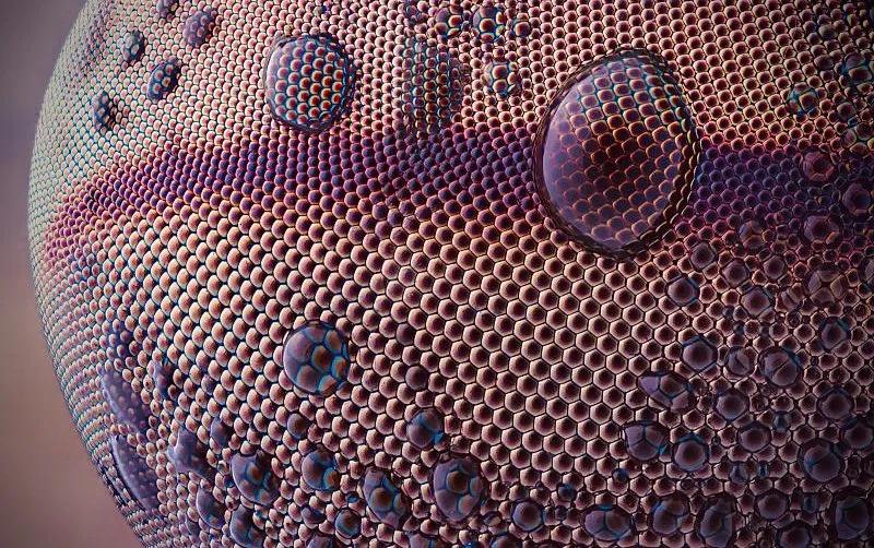 手指在显微镜下太恐怖了,显微镜下的恐怖世界蝎子