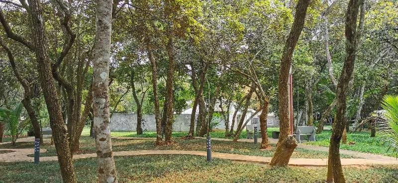 文昌椰林在哪里,文昌椰林靠海吗