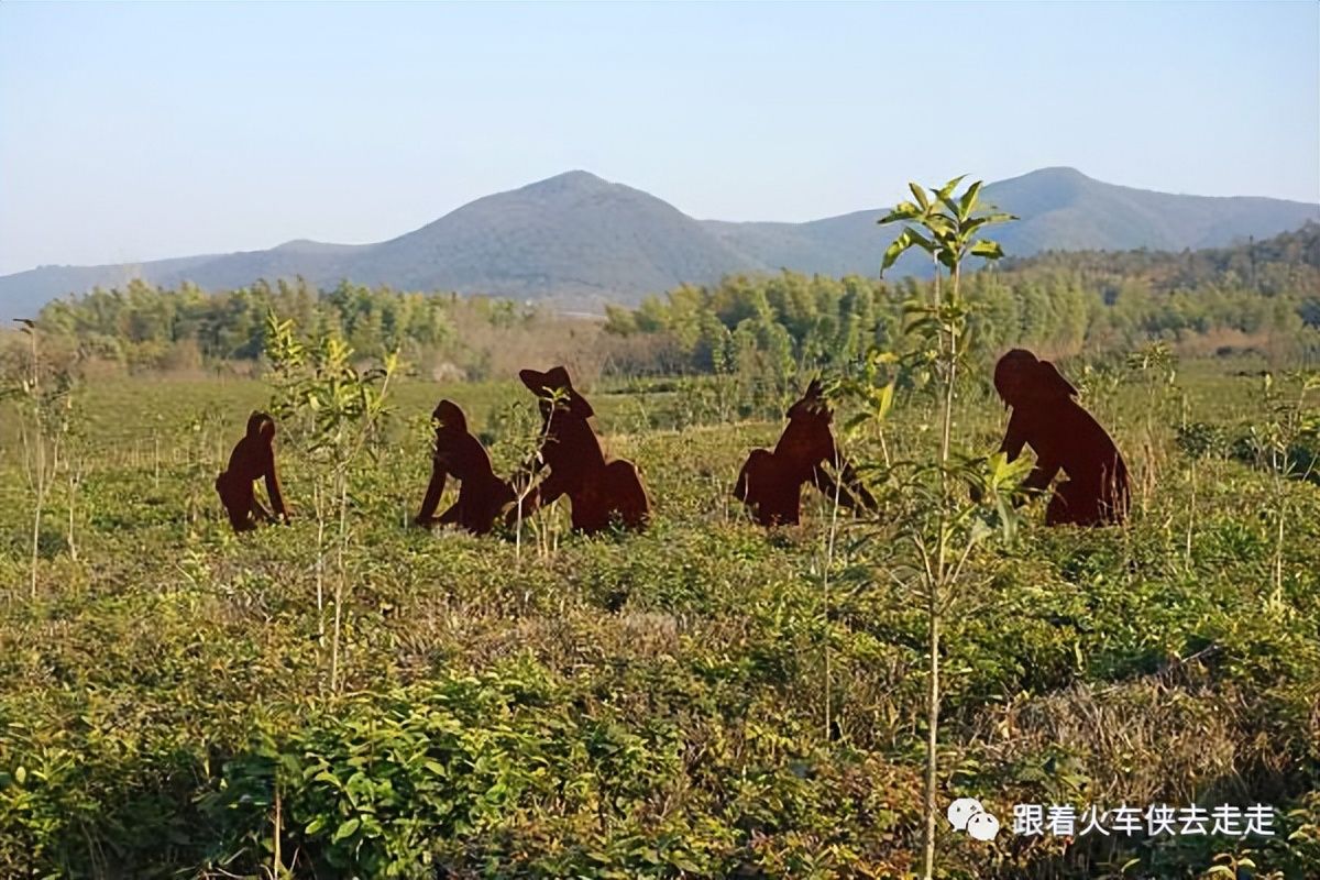 宜兴小镇的深氧之旅——张渚镇龙池山自行车公园