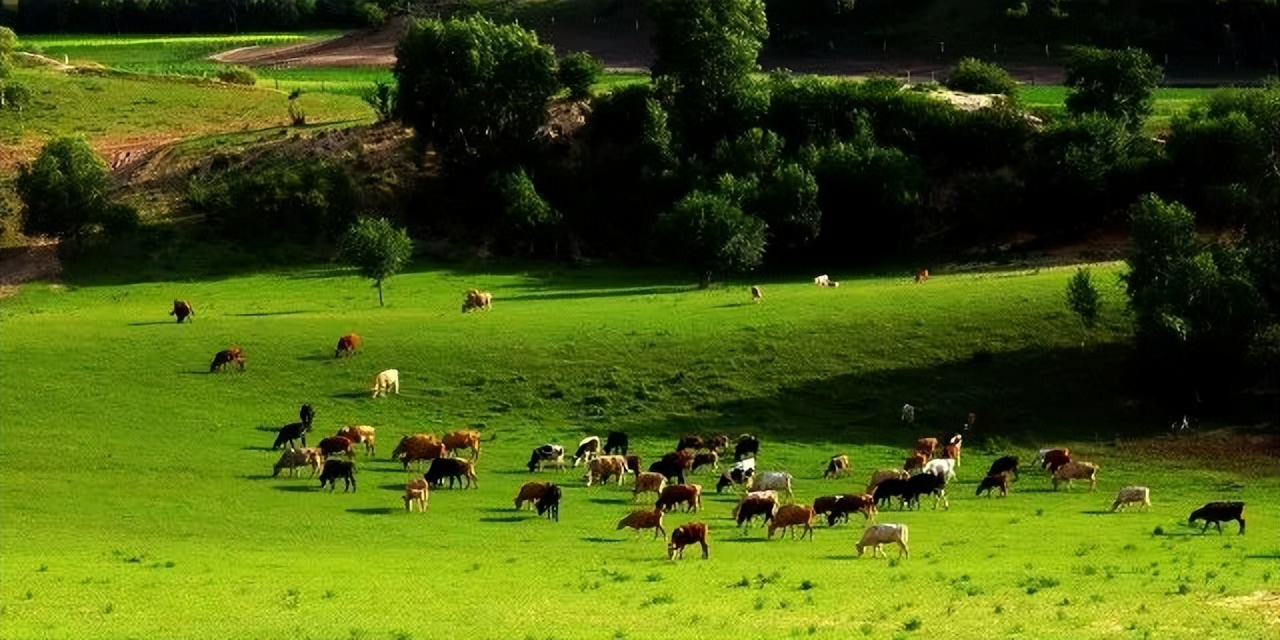 微游河北乐享身边的美,微游河北石家庄