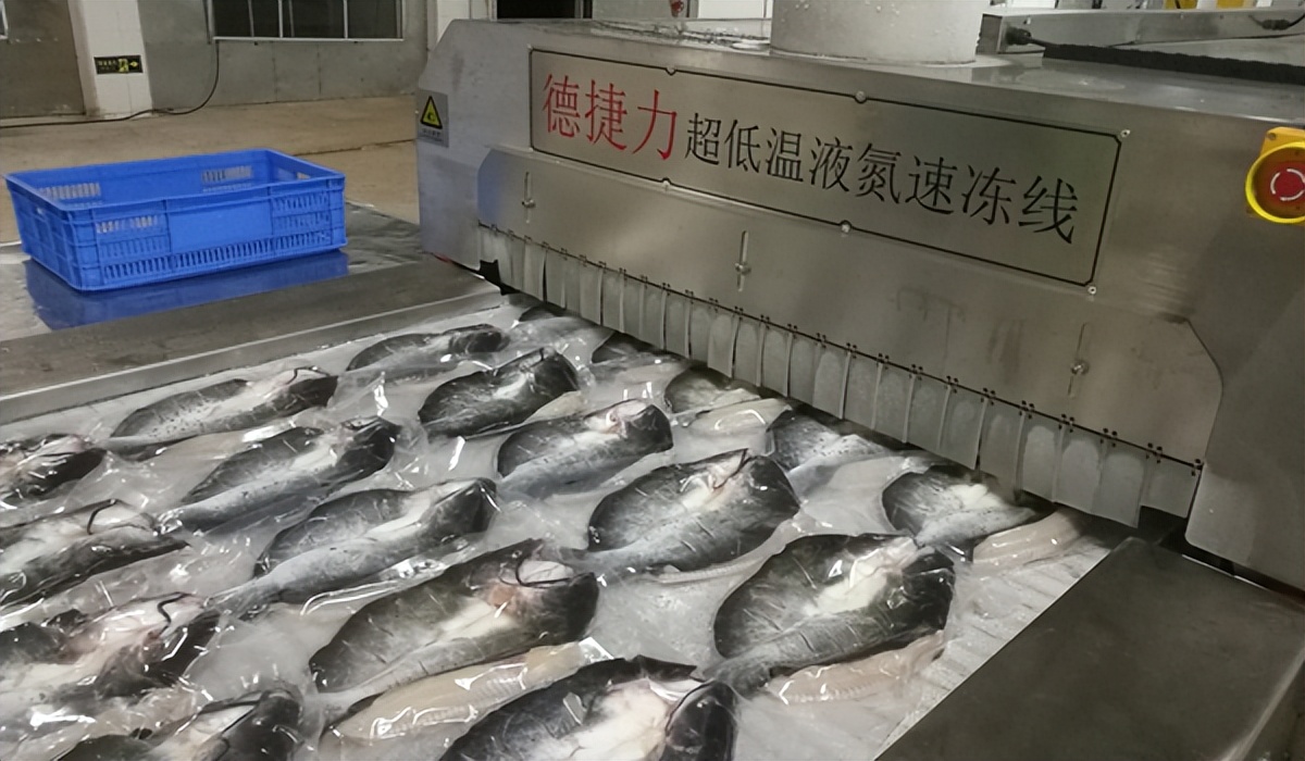 液氮速冻设备都能冻哪些食材,素食液氮速冻机为什么好用