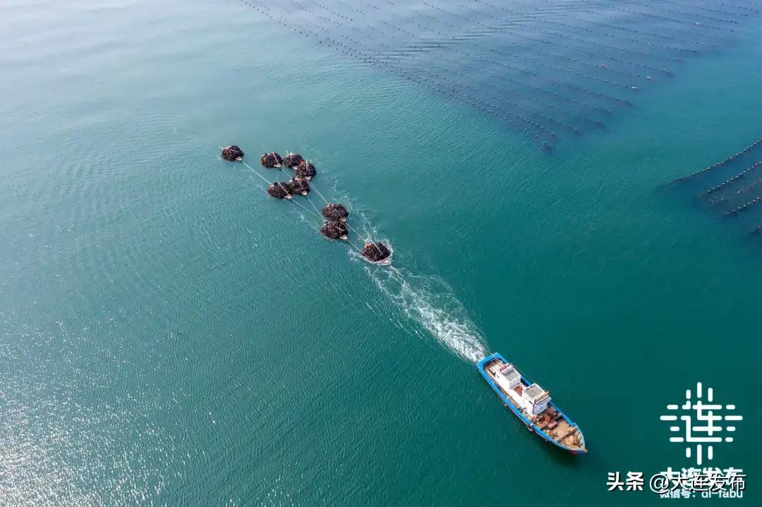 海洋强市,海洋强省建设