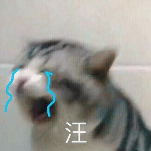 如何做一个乐观快乐的人,变快乐最好的办法