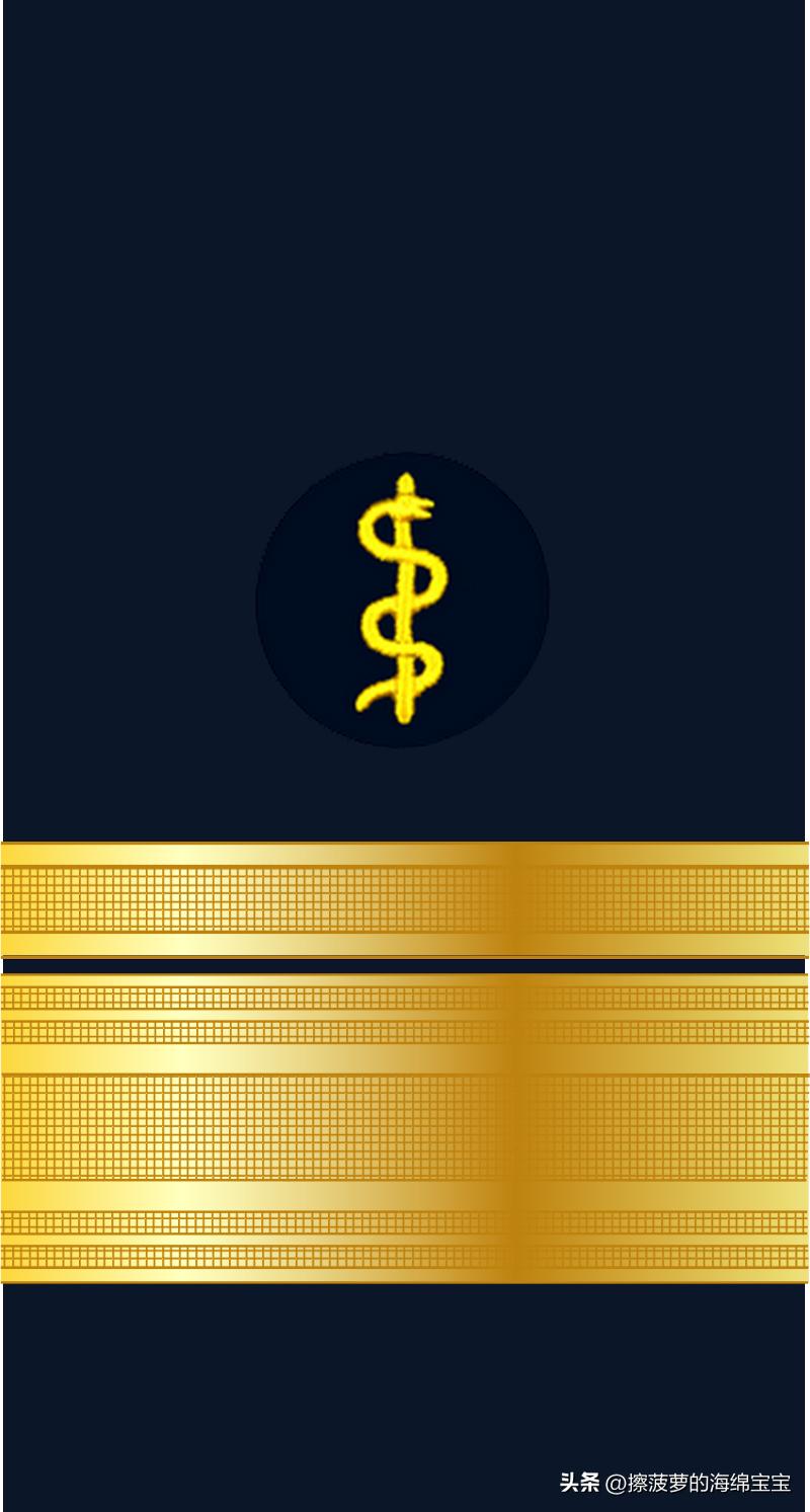 二战德国国防军医疗兵军衔标志