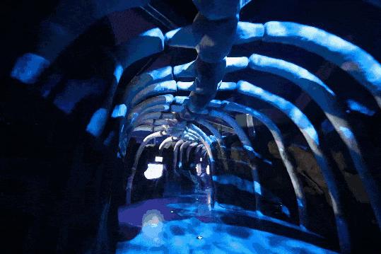 10元游温州景区,10元游温州