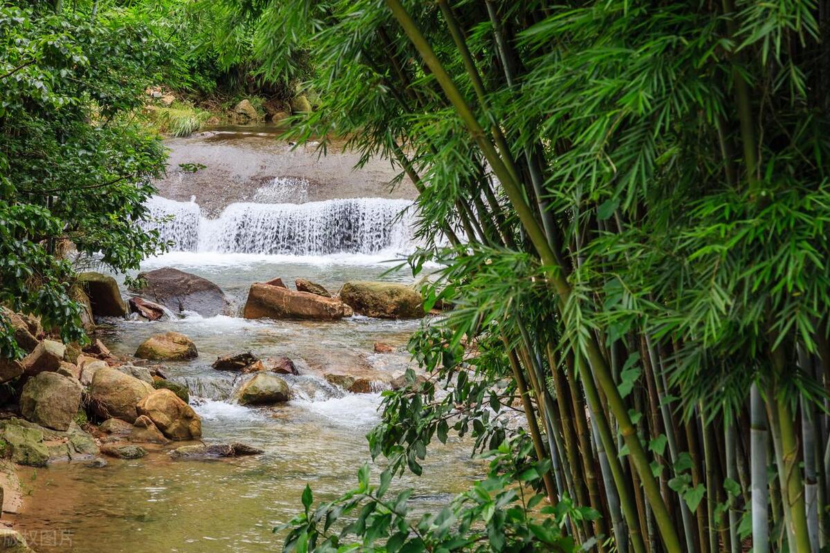广州摘荔枝一日游最佳路线,从化自驾游荔枝采摘园