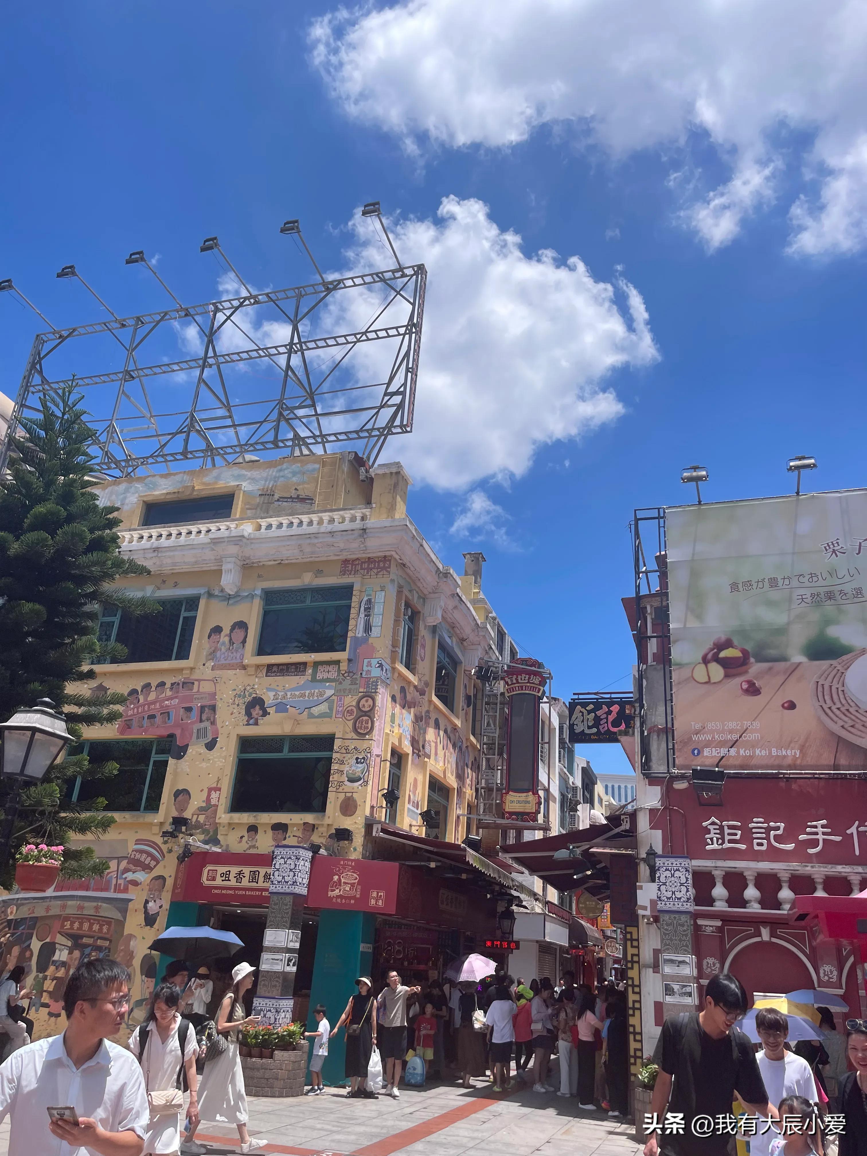 去澳门带小孩攻略,带娃去澳门好玩吗