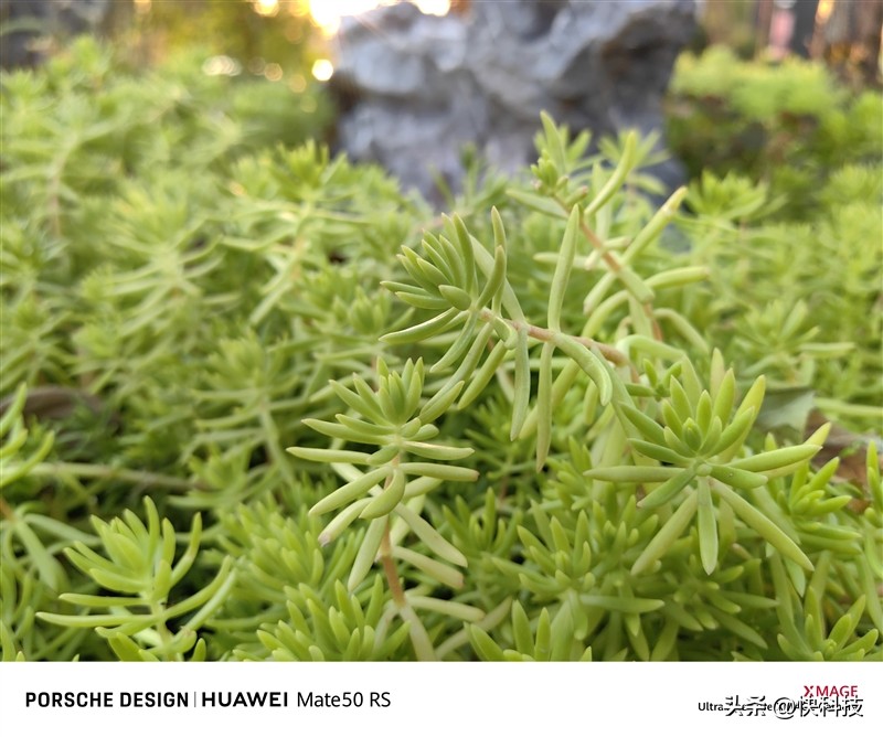 华为mate50rs保时捷设计超微距长焦,华为mate50rs保时捷4g网络评测