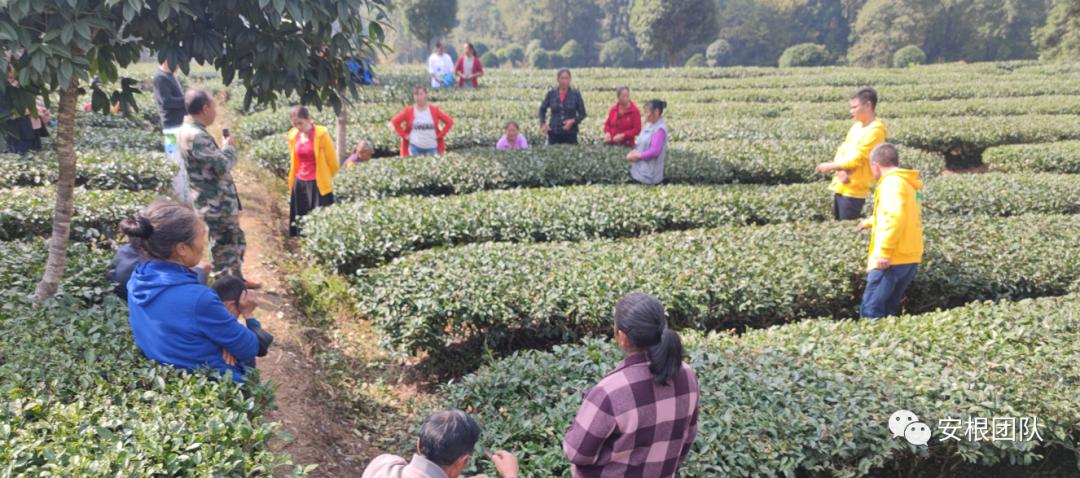 农业社会化服务实施方案,农业社会化服务重要性可行性分析