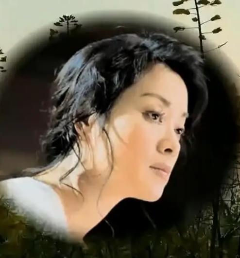 毛阿敏走出失去丈夫的阴影,毛阿敏能继承丈夫的全部财产吗