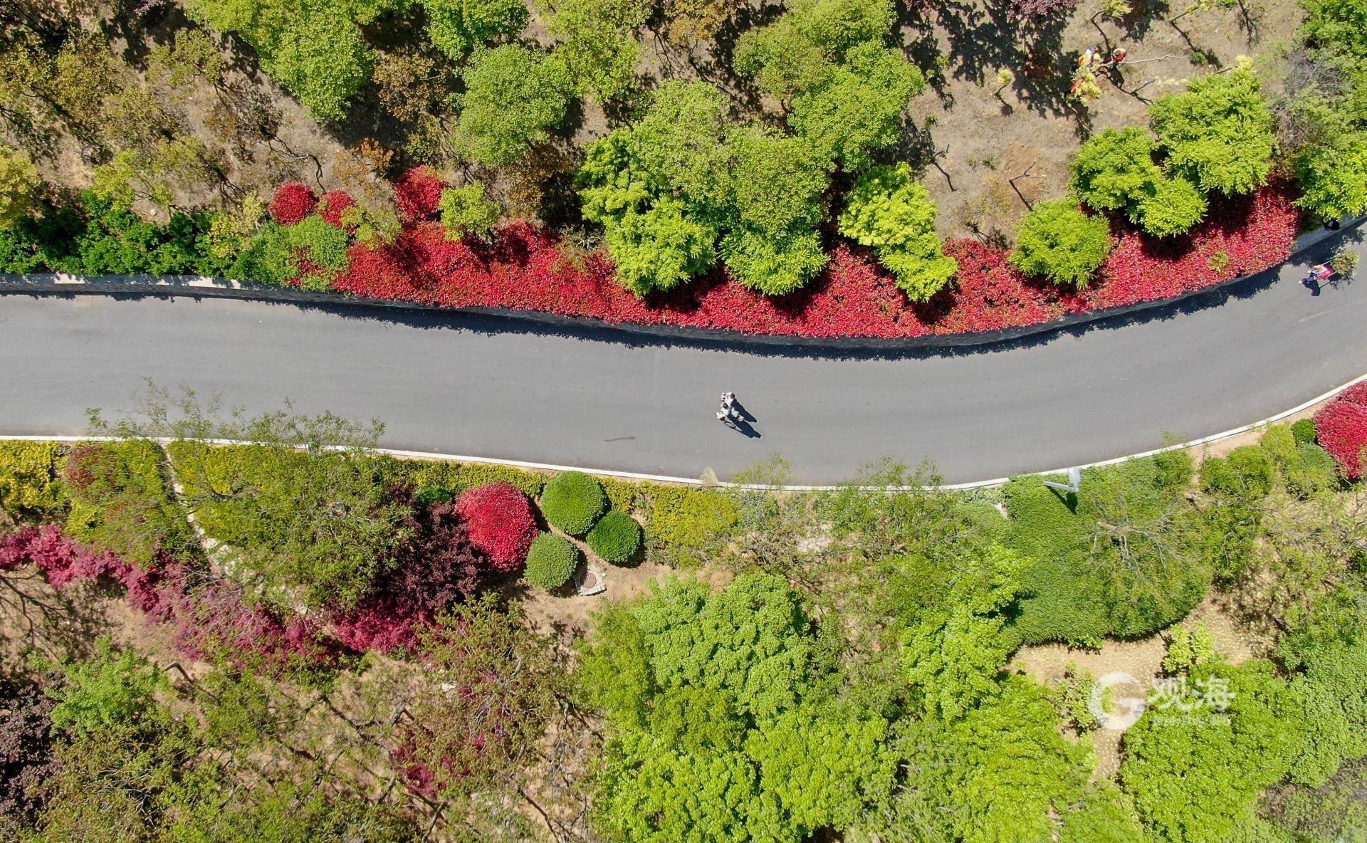 双山公园有什么好玩的,双山公园海宁