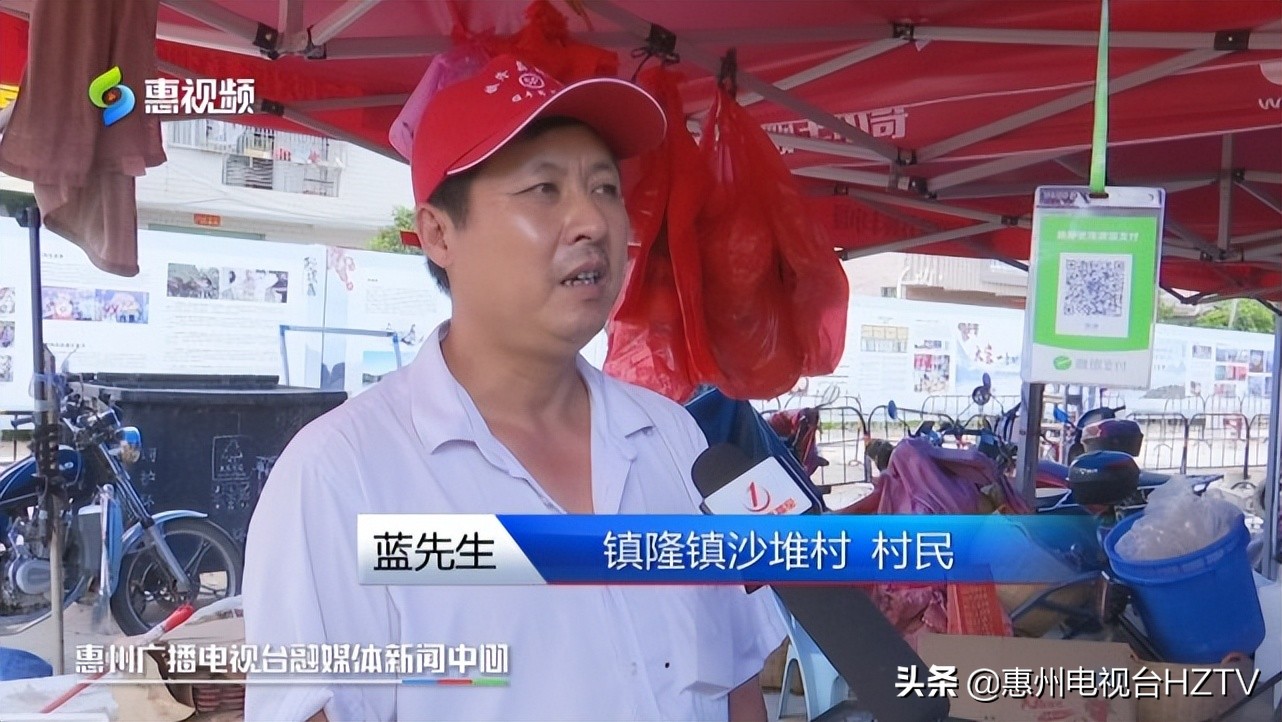 2019镇隆桂味荔枝价格走势,镇隆镇荔枝今年产量