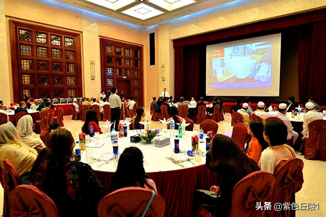 巴基斯坦中国驻外大使馆,中国大使在巴基斯坦活动