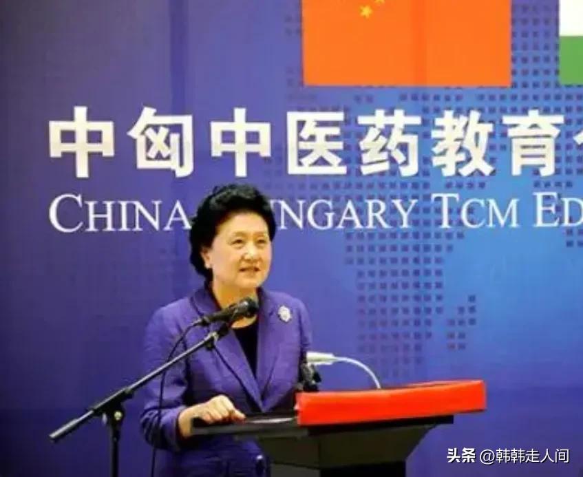 外媒评价匈牙利力挺中国,匈牙利在欧盟力挺中国