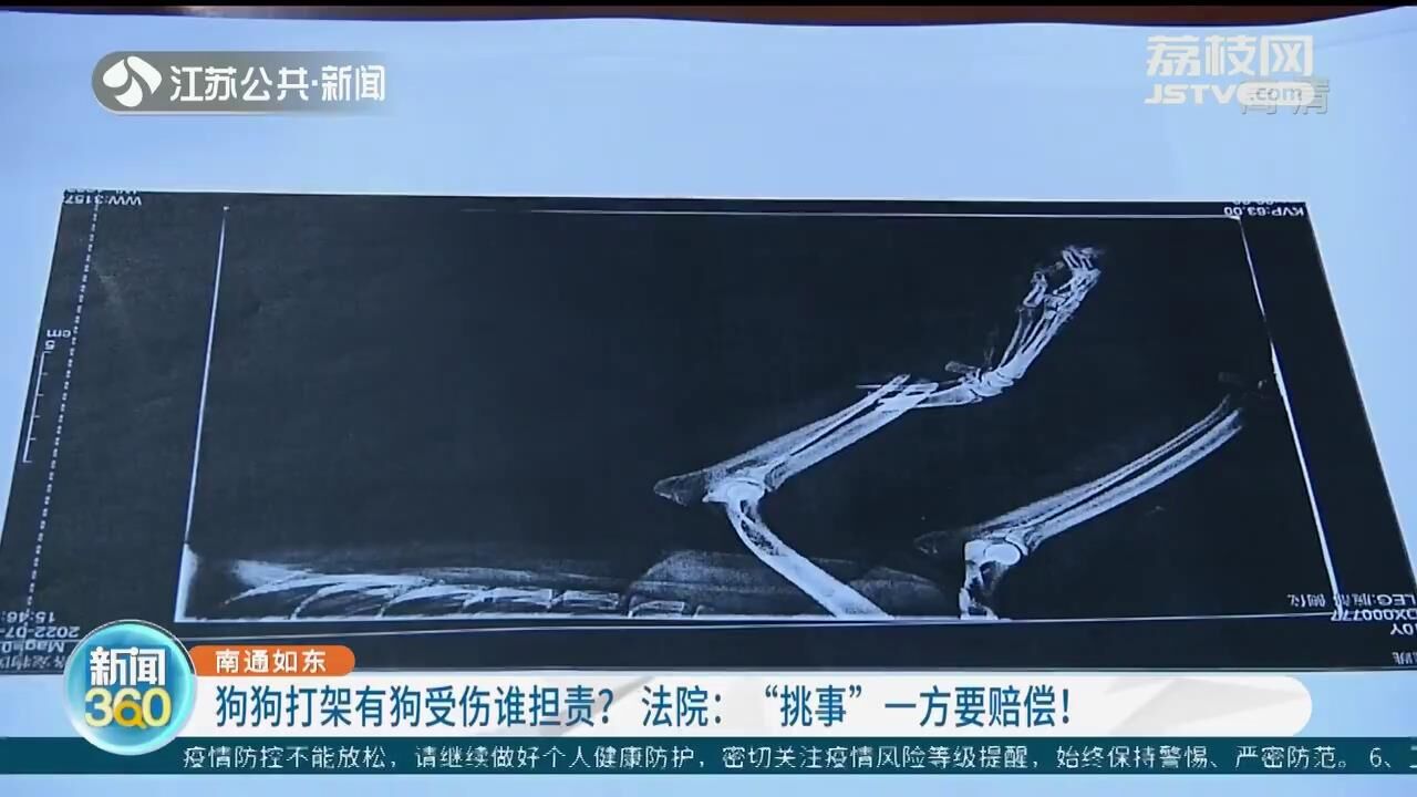 南通如东：狗狗打架有狗受伤谁担责？法院：“挑事”一方要赔偿