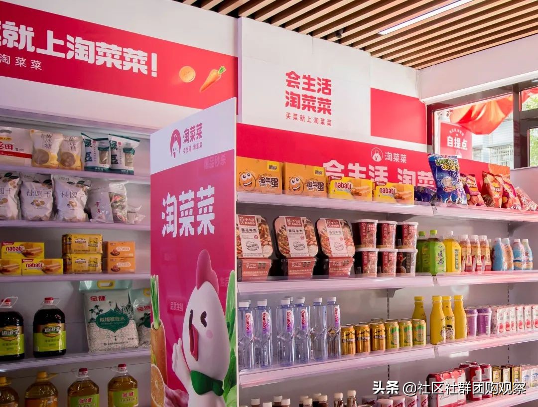 沙区免费送菜上门,免费送菜上门