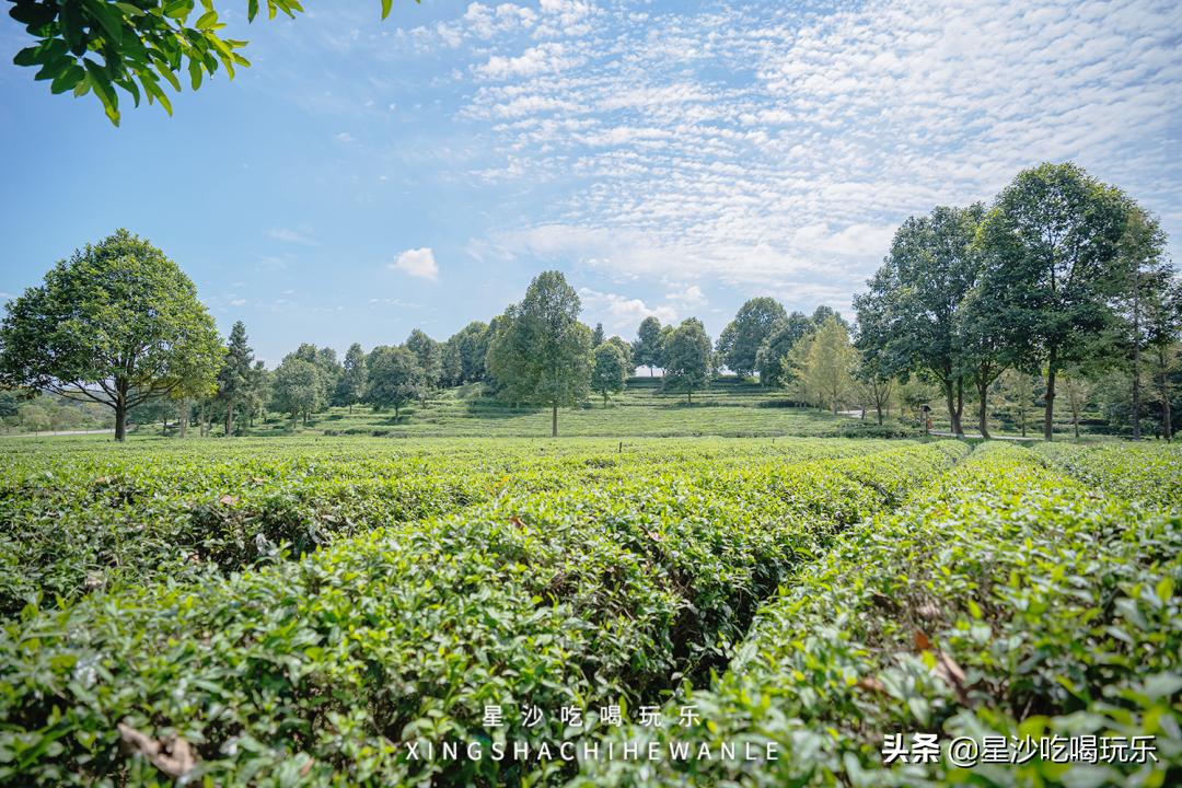 星沙周末户外一日游攻略,星沙周末适合出去玩的地方